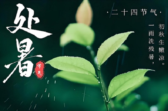 處暑：夏日的謝幕，秋意的序曲