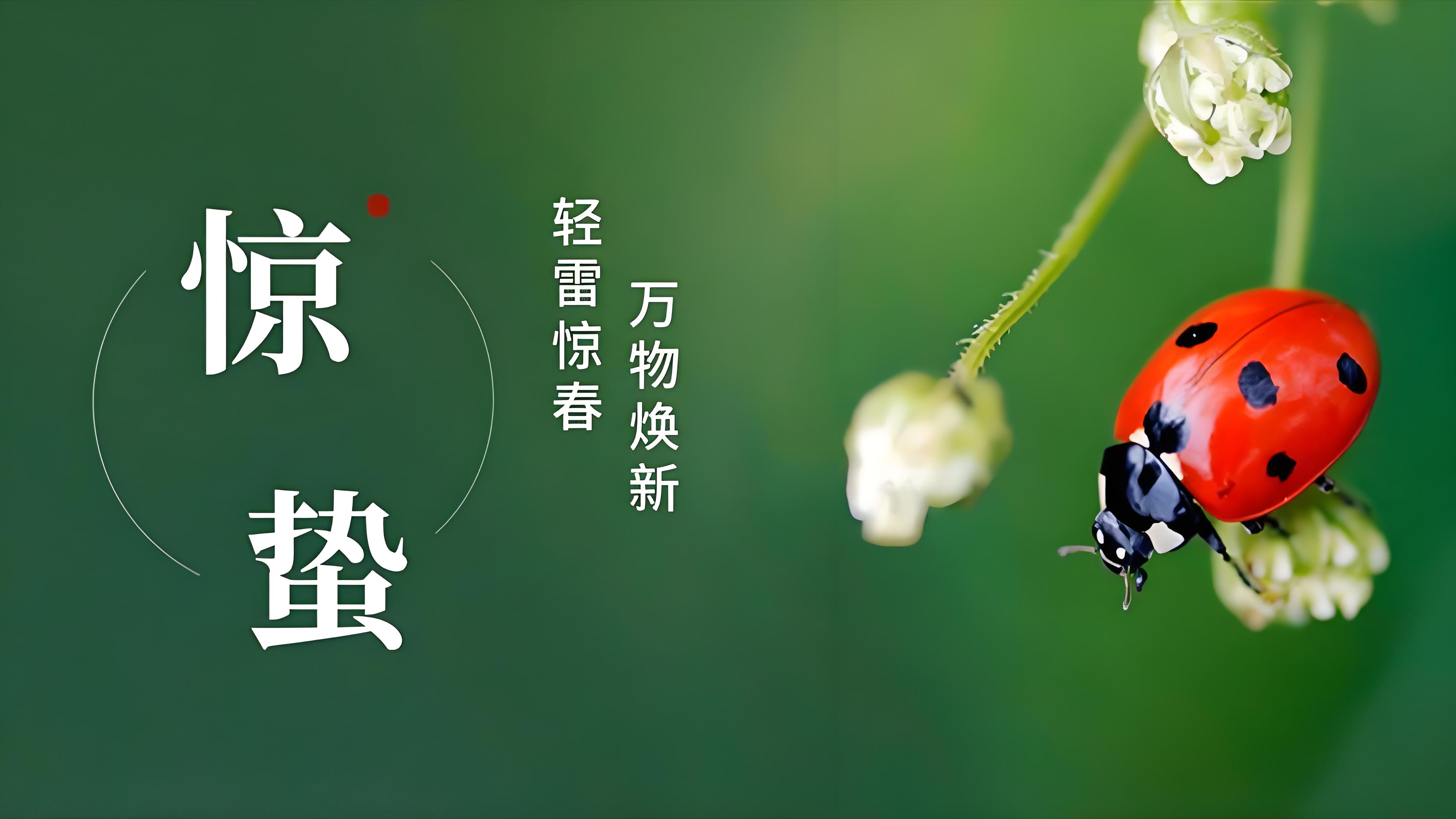 驚蟄｜春雷始鳴，萬物向陽而生